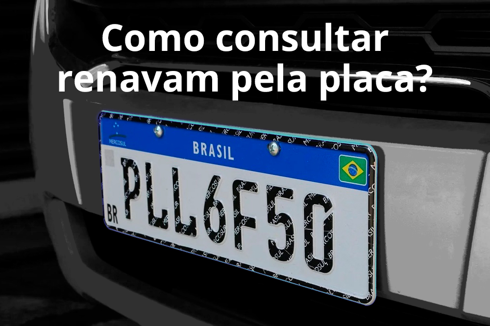 Como consultar renavam pela placa ou chassi