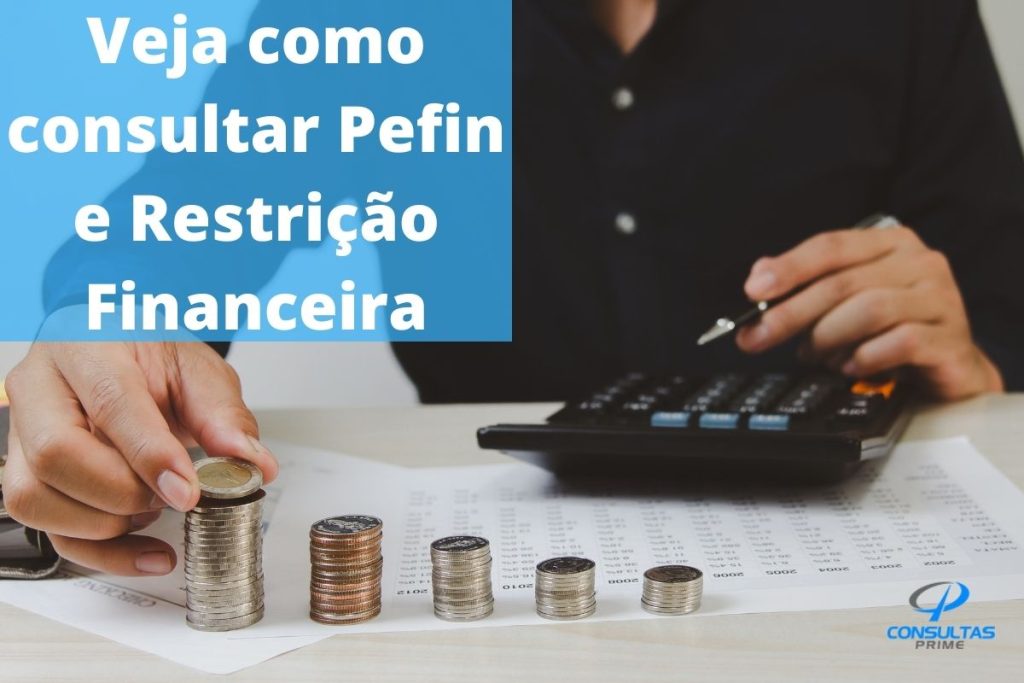 Como consultar Pefin e Restrição Financeira