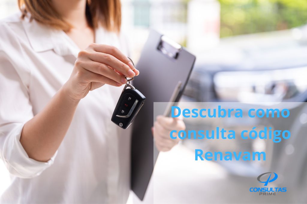 consulta código renavam