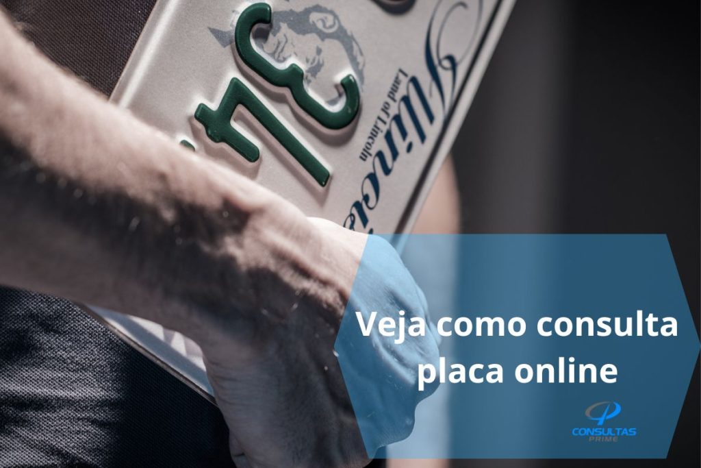 consulta placa online